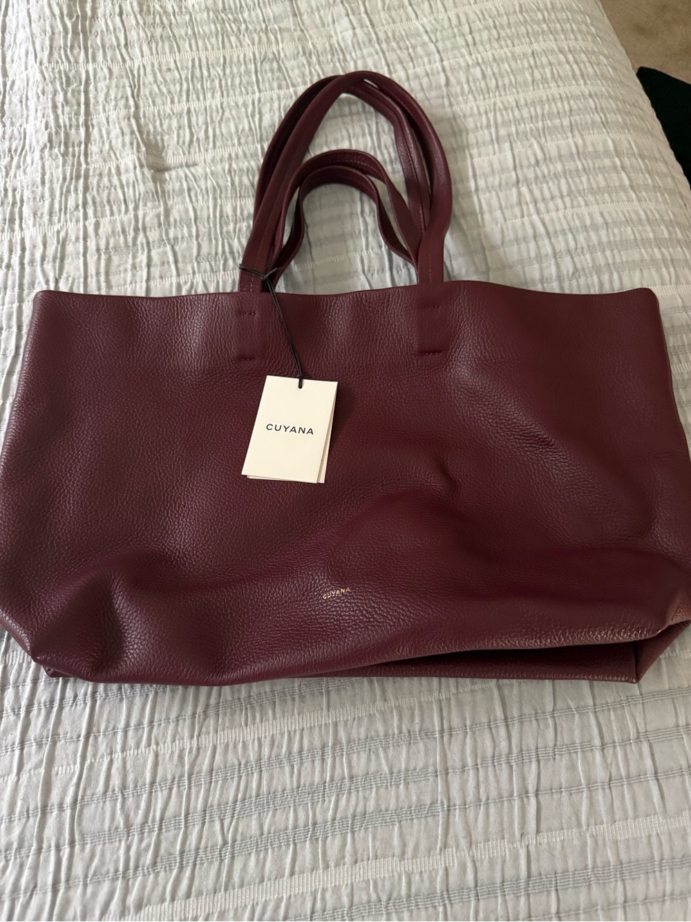 Cuyana Classic Easy Tote in Cherry NWT - Picture 15 of 15
